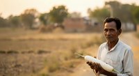 Male farmer of South Asian descent holding crop seedlings in rural agricultural field during harvest season for farming and agriculture concepts.