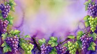 Watercolor grape clusters with green leaves creating decorative border frame on purple gradient background for wine industry designs and harvest themes.