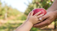 Adult male with dark skin tone and child with light skin tone holding red apple together outdoors in orchard setting, representing family bonding, education, healthy eating, and intergenerational connection.