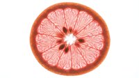 Fresh grapefruit slice with vibrant pink flesh and natural citrus texture, isolated on white background for food and beverage design.