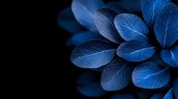 Glowing blue leaves arranged in circular pattern on black background create ethereal botanical art composition with delicate vein details and natural texture.