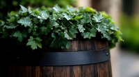 Lush green ivy with water droplets cascading over a rustic dark wooden barrel planter, set against a soft blurred garden background.