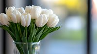 Fresh white tulips in clear glass vase against soft blurred background, elegant floral arrangement showcasing spring blooms with natural lighting and bokeh effect.
