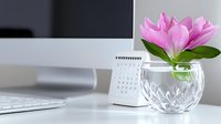 Pink magnolia bloom in crystal vase on white desk with computer monitor and calendar, creating minimal workspace decor in soft natural lighting.