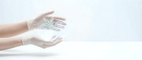 Hands protecting green plant sprout in transparent sphere symbolizing environmental care and sustainability on white background.