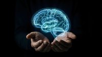 Glowing blue holographic brain floating above open human hands on dark background for artificial intelligence and neuroscience concepts.