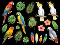 Tropical parrots, cockatoos, macaws, and palm leaves isolated on transparent background. Ready for t-shirt design, clipart, stickers, sublimation, and print-on-demand products.