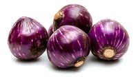 Fresh purple round eggplants with glossy skin isolated on white background, raw organic vegetables for healthy cooking and Mediterranean cuisine.