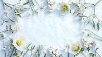 White flowers and eucalyptus leaves arranged in circular frame on light background creating natural botanical border for spring wedding invitations.