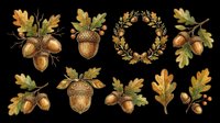 Autumn oak acorns and leaves isolated on transparent background. Ready for t-shirt design, clipart, stickers, sublimation, print-on-demand products and digital crafts.
