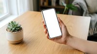 Hand holding smartphone with blank white screen on wooden desk next to potted succulent plant, suitable for app mockups and mobile technology presentations.