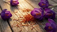 Purple crocus flowers with saffron spice threads on rustic wooden background. Spring blooming concept for culinary and natural medicine applications.