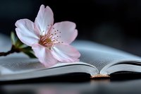Delicate pink blossom resting on open book pages, symbolizing knowledge, literature, nature, and springtime learning. Soft focus background enhances peaceful, contemplative mood.
