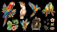 Colorful parrot clipart collection featuring macaws, cockatoos, and parakeets isolated on transparent background. Ready for t-shirts, stickers, print-on-demand designs, and sublimation projects.