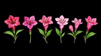 Pink flowers with green stems and leaves isolated on transparent background, ready for t-shirt design, clipart, stickers, sublimation and print-on-demand projects.