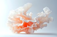 Delicate coral-colored abstract organic form with flowing layers and ruffled edges against light gray background, creating soft shadows and ethereal appearance.