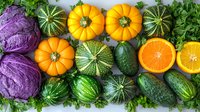Fresh colorful vegetables and fruits arranged in rows including pumpkins, purple cabbage, cucumbers, oranges and decorative squash on gray background.