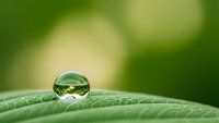 Crystal clear water droplet on green leaf surface with natural bokeh background for environmental and nature concepts.