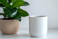 Minimalist white ceramic cup with black coffee next to green plant in beige pot on white surface, modern home decor styling for kitchen and dining spaces.