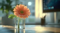 Single peach gerbera daisy in glass vase on wooden table with soft natural window light creating warm atmosphere and long shadows. Perfect for wellness blogs.
