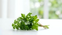 Fresh green parsley bunch with stems isolated on white background, ready for culinary design, recipe graphics, food packaging and cooking-related projects.