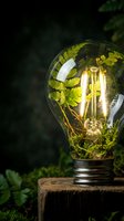 Glowing light bulb with green plants inside on wooden surface against dark forest background symbolizing eco-friendly energy and sustainable innovation concepts.
