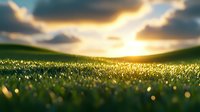Sunlit meadow with fresh grass blades glowing in golden morning light against dramatic sky and rolling hills, creating magical bokeh effect in foreground.