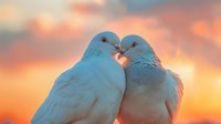 Two white doves touching beaks against vibrant orange and pink sunset sky, romantic nature scene showing tender moment between birds in soft lighting.