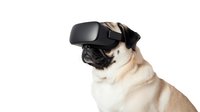 French bulldog wearing VR headset on white background, isolated pet with virtual reality goggles for technology and gaming concepts.