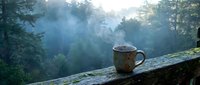Steaming ceramic mug on a rustic wooden railing with misty forest and tall pine trees in the soft morning light background.