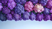 Fresh purple and pink cauliflower heads arranged in rows on light background, organic farm produce with vibrant colors showing natural texture and patterns.