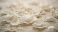 Delicate white rose petals scattered on textured surface creating romantic soft focus background for wedding invitations and feminine design projects.
