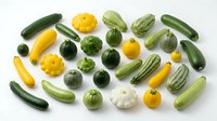 Fresh organic summer squash and zucchini varieties isolated on white background for healthy cooking and farm-to-table recipes.