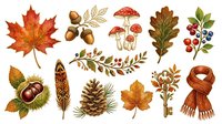 Autumn leaves, acorns, mushrooms, pine cone, berries, and scarf isolated on white background for fall design projects.
