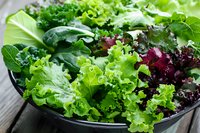 Fresh mixed lettuce leaves in black bowl, combining vibrant green and purple varieties. Close-up view shows crisp, curly textures and natural organic produce.