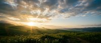 Golden sunrise illuminates rolling hills and wildflower meadows with dramatic clouds, perfect for nature, travel, and landscape design projects.