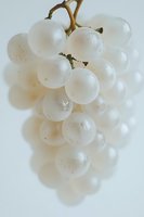 Fresh white grapes cluster on light background, macro photography showing translucent berries with natural texture and dewdrops. Suitable for wine and food design.
