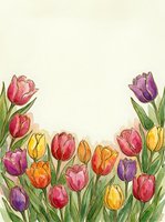 Watercolor tulips border in pink, purple, yellow and orange on cream background with copy space for spring greeting cards.