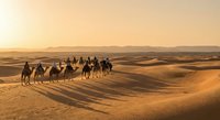 Camel caravan silhouettes crossing golden sand dunes at sunset in vast desert landscape with warm orange light and dramatic shadows for travel content.