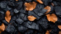 Wet autumn leaves scattered on black charcoal pieces create dramatic contrast. Water droplets on dark stones and orange foliage form moody nature composition.