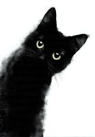 Black cat with bright green eyes peeking from edge of frame, artistic watercolor style on white background, isolated for design projects.
