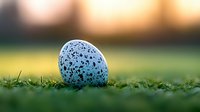 Speckled blue bird egg nestled in green grass at sunset, with soft bokeh background creating dreamy natural atmosphere. Perfect for spring themes.