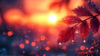 Red autumn maple leaf with water drops against dramatic orange sunset sky and bokeh lights creating magical nature atmosphere.