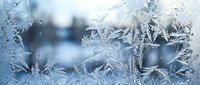 Intricate frost patterns create delicate ice crystals on winter window glass with soft blue bokeh background for seasonal design projects.