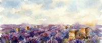 Watercolor painting of wooden beehives in blooming lavender field under cloudy sky. Rural beekeeping scene with purple flowers and golden honey boxes in countryside landscape.