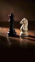 Black queen and white knight chess pieces facing each other on wooden board representing strategic competition and tactical gameplay.