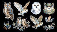Owl species collection isolated on transparent background, ready for t-shirt design, clipart, stickers, sublimation and print-on-demand projects.