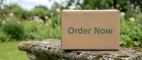 Cardboard box with Order Now text on a stone surface in a lush green garden, symbolizing online shopping and delivery services.