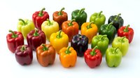 Assorted fresh bell peppers in red, yellow, orange, green, and purple varieties isolated on white background, ready for culinary, nutritional, or design projects.