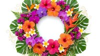 Tropical flower wreath with vibrant hibiscus, plumeria and exotic blooms on white background. Colorful floral circle arrangement for summer decor and design.